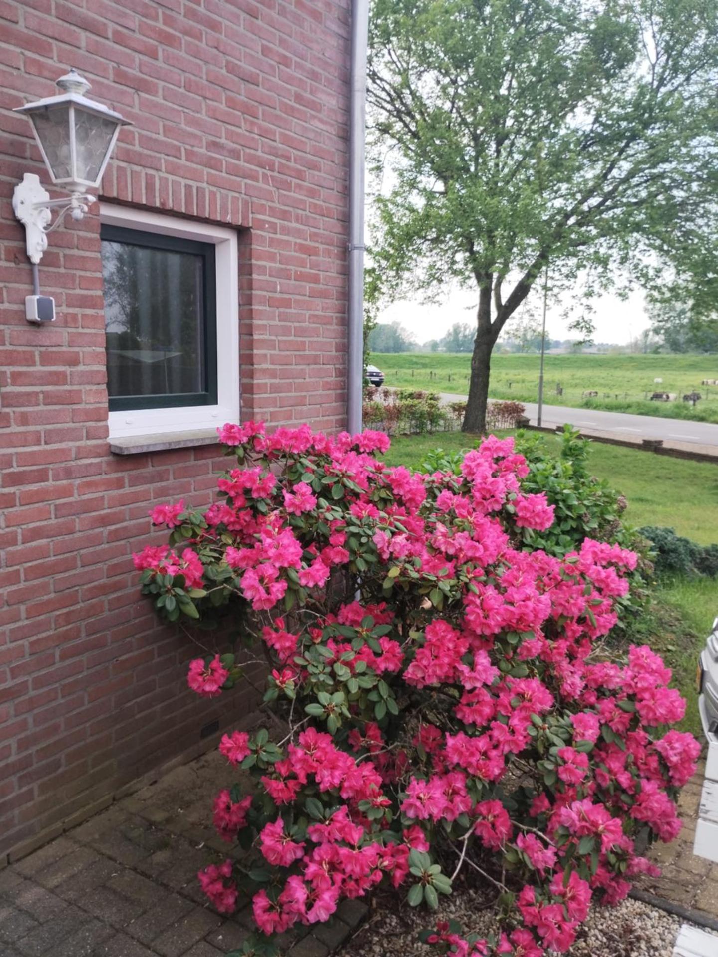 Laaker Villa nearby outlet Roermond