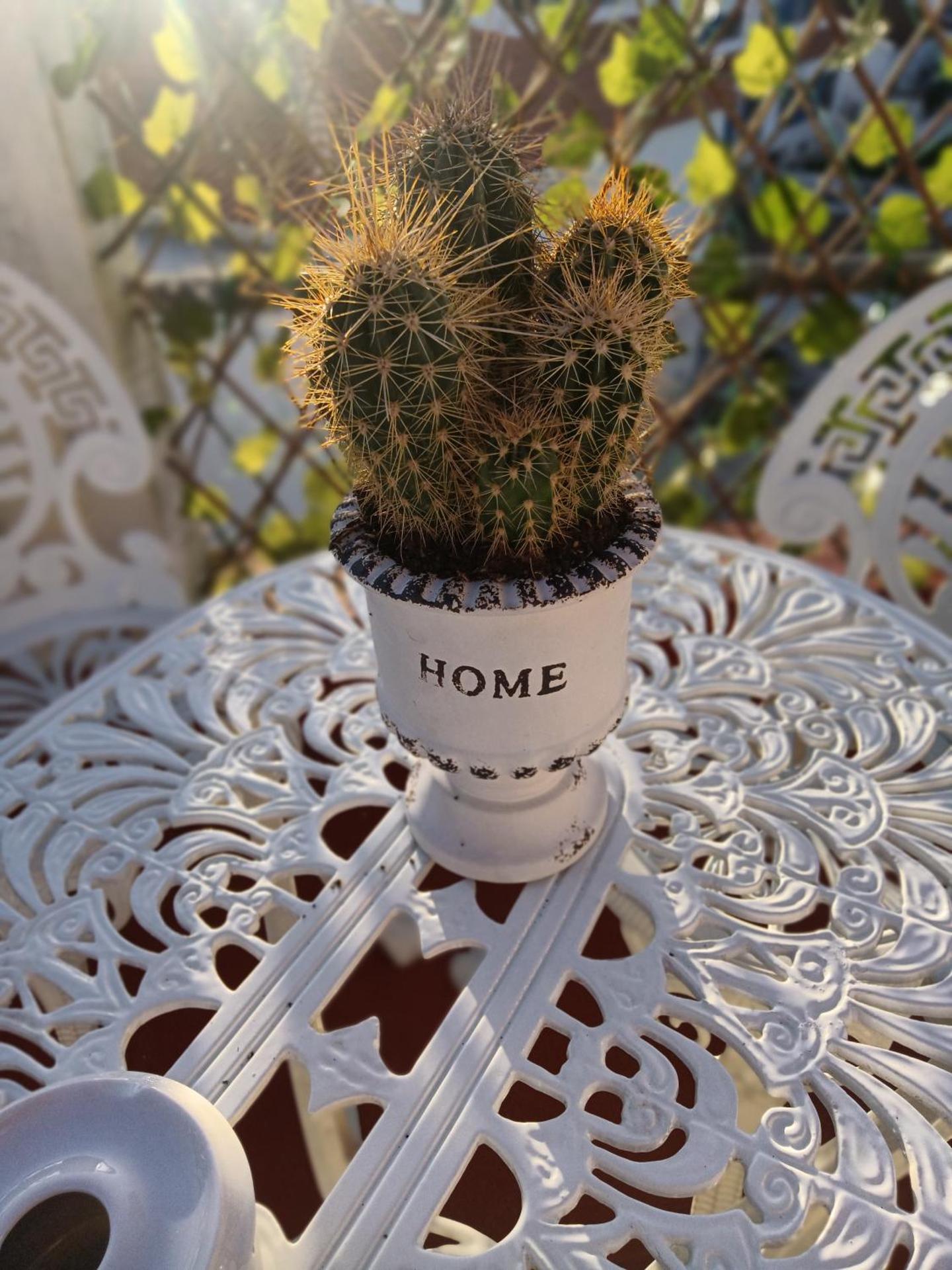 Alojamento Local Largo da Igreja