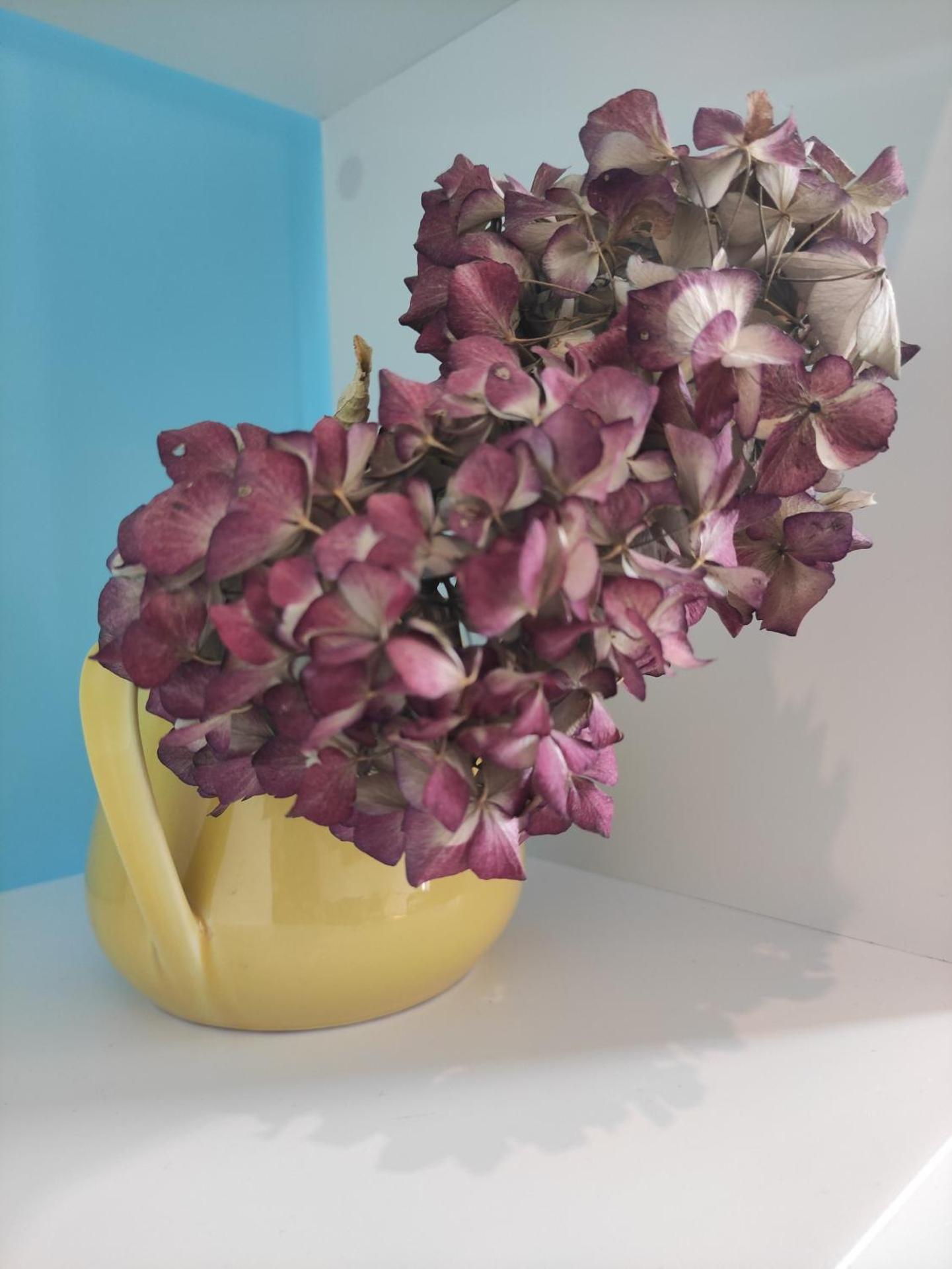 Stadtnah und zentral in Oldenburg mit Parkplatz, Aufzug und Balkon