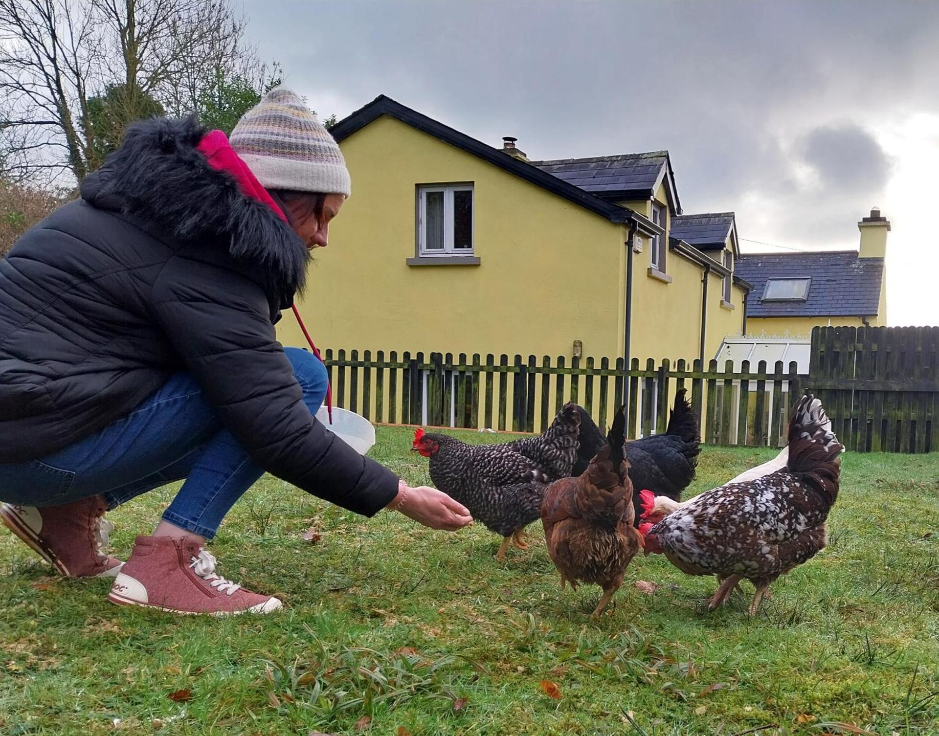 Felicity Cottage, W91 D1W3