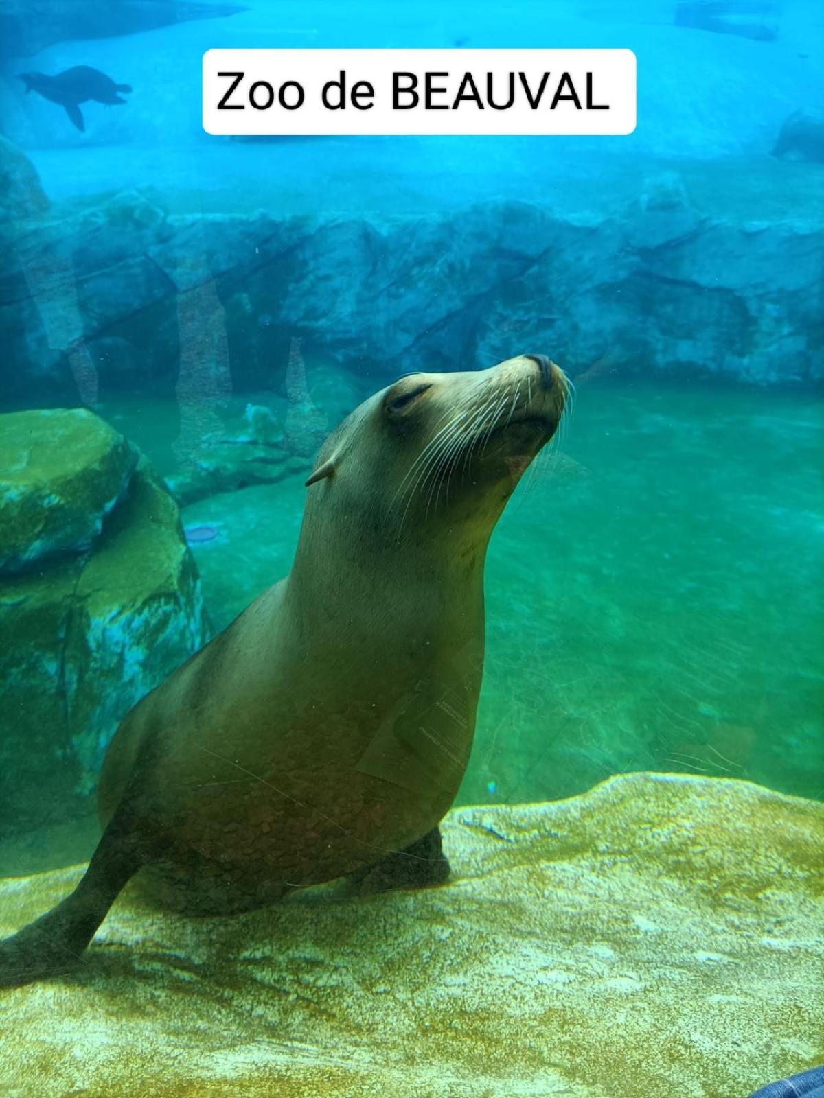 VILLA ESPERANZA Chambre de plain-pied, indépendante, à 300 m du château de Valençay proche Zoo de Beauval et Châteaux de La Loire
