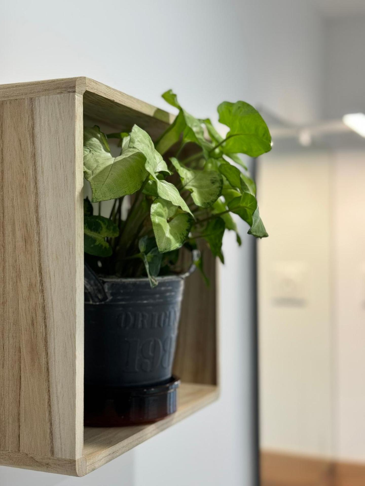 Le Duplex - Massy Centre