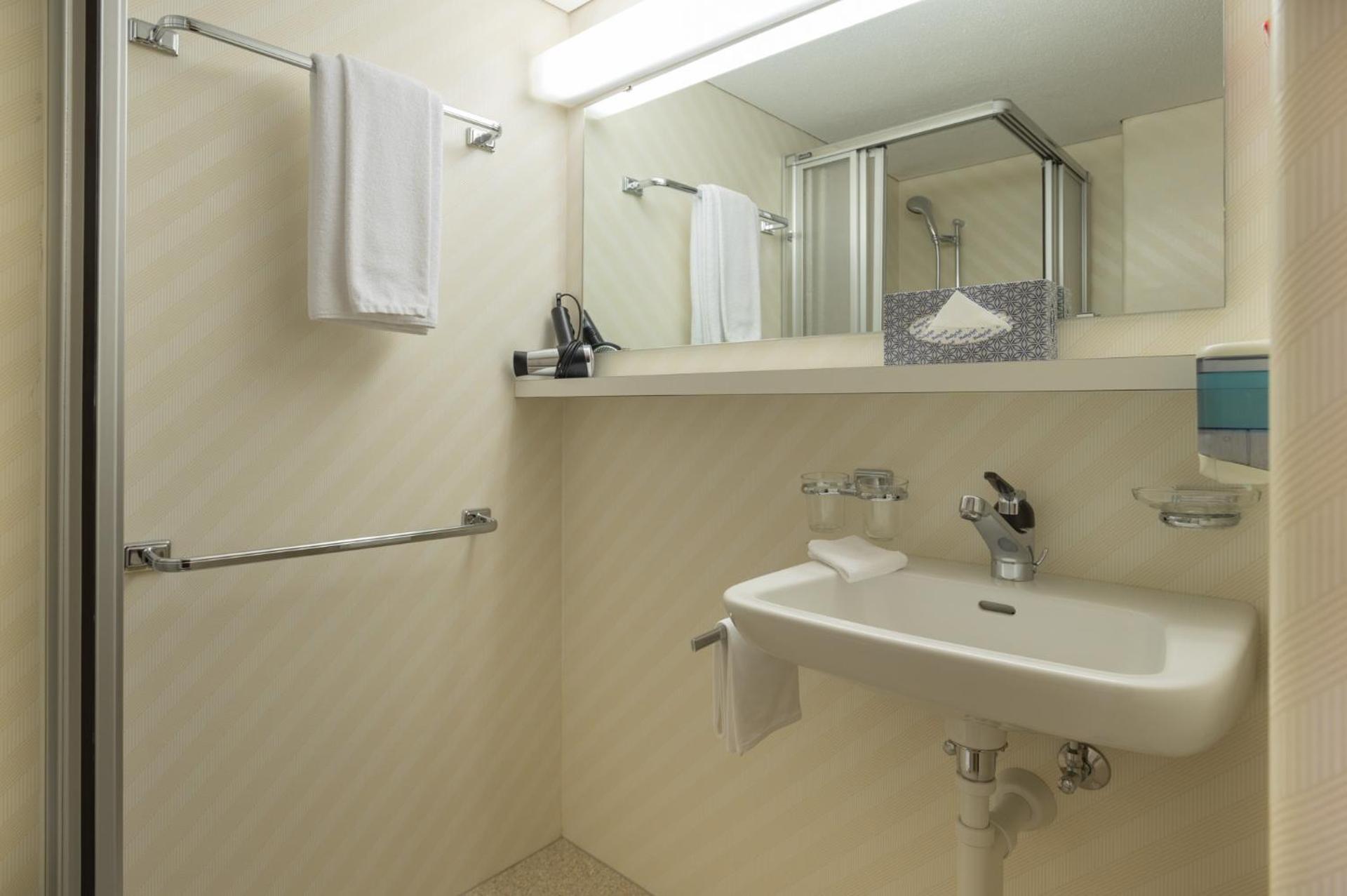 Jungfrau Panorama Single room with balcony