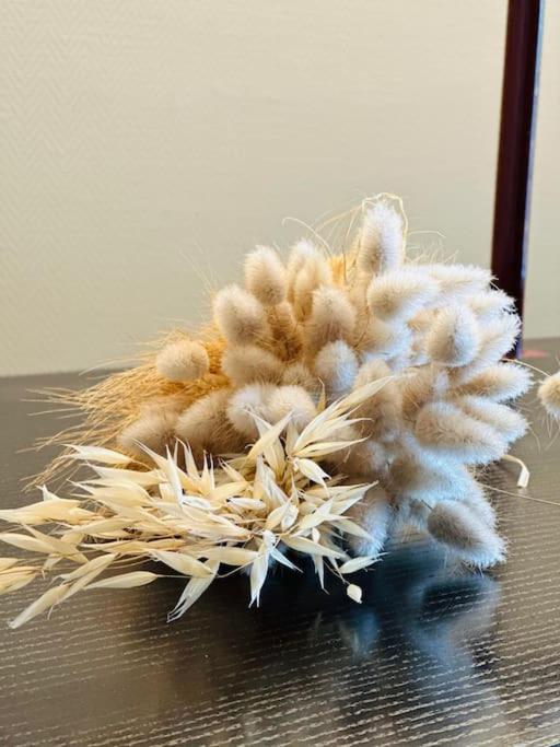 Duplex Laon'Tre-Deux