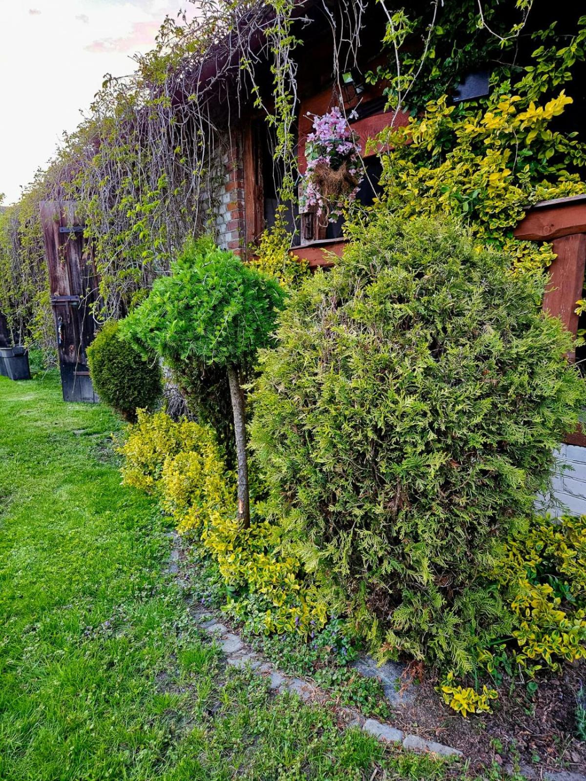 Lubię Nic przytulny dom z basenem