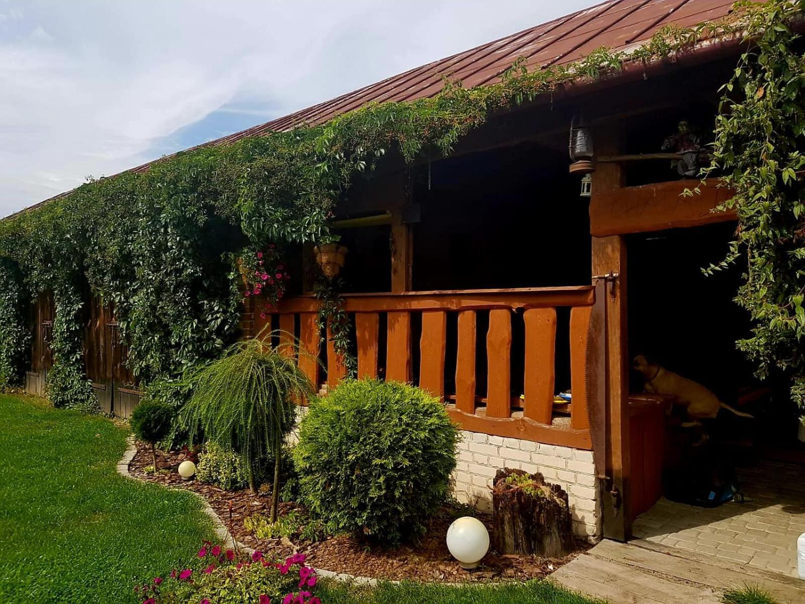 Lubię Nic przytulny dom z basenem