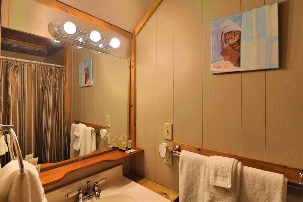 Amazing Cabin fireplace and stream #11