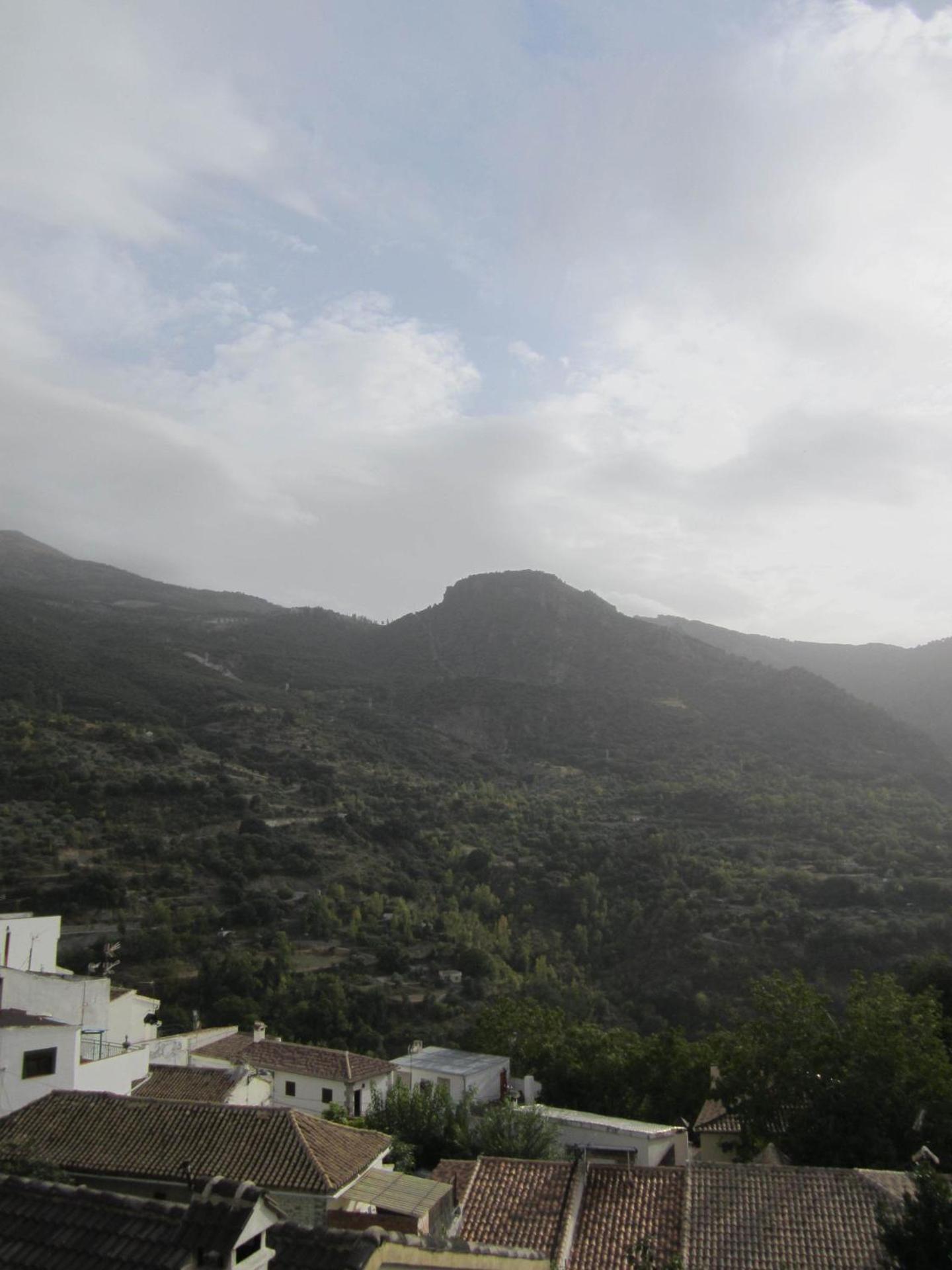 Two-Bedroom Apartment (4 Adults)