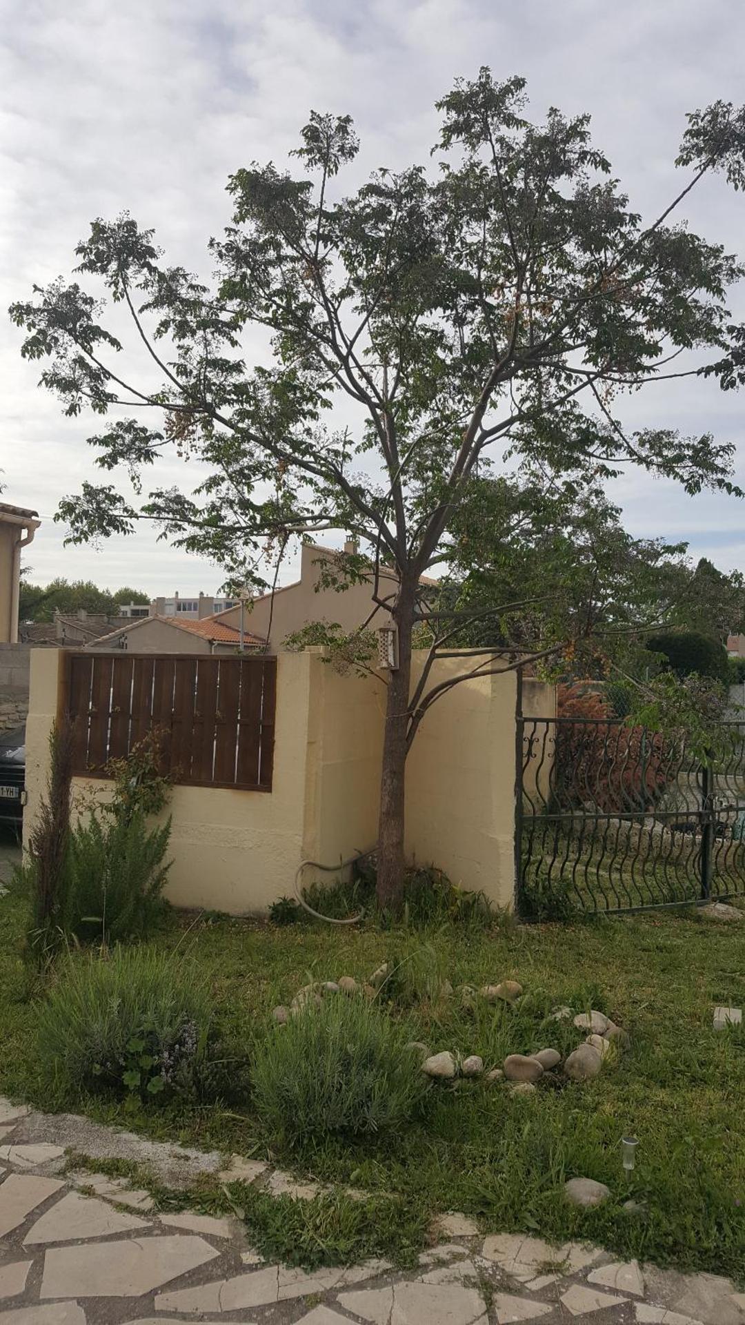 STUDIO DU CHARME PROVENCAL