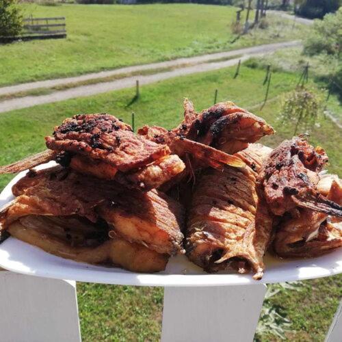 Gemenc Vendégház Baja