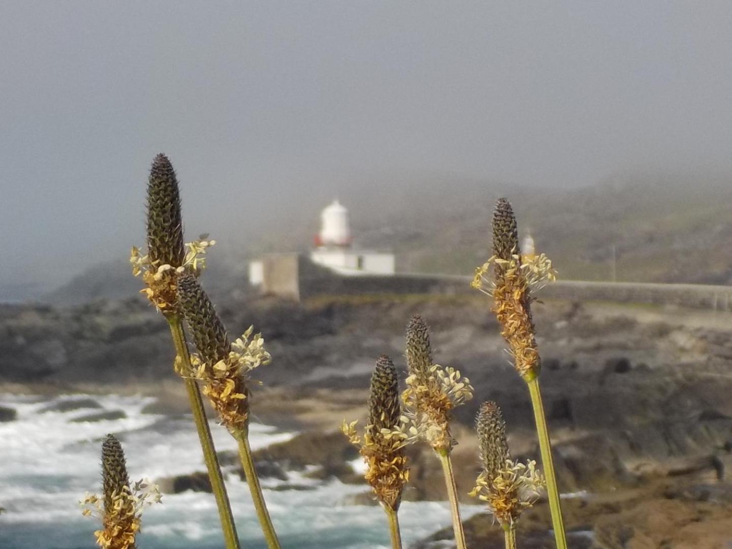 Horizon View Lodge Bed and Breakfast Glanleam Road Knightstown Valentia Island County Kerry V23 W447 Ireland