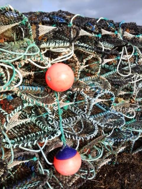 Horizon View Lodge Bed and Breakfast Glanleam Road Knightstown Valentia Island County Kerry V23 W447 Ireland