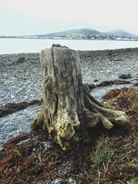 Horizon View Lodge Bed and Breakfast Glanleam Road Knightstown Valentia Island County Kerry V23 W447 Ireland