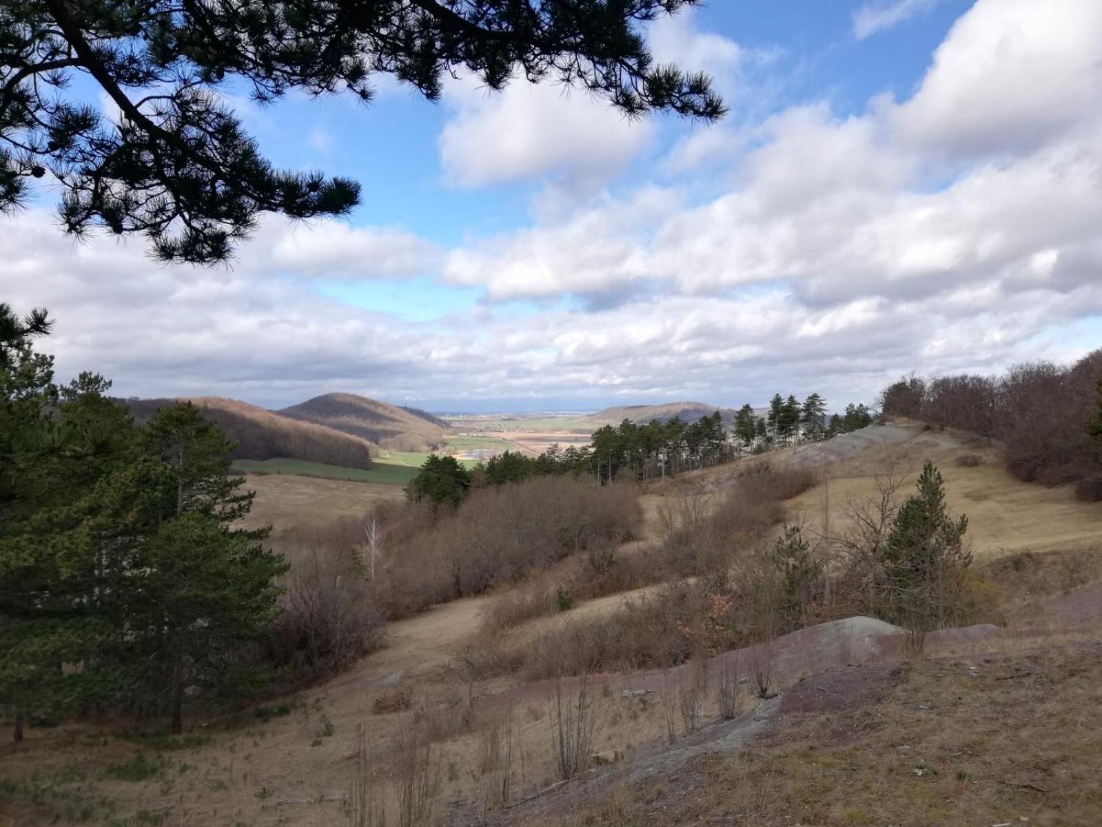 Landhotel Ruhepol - garni