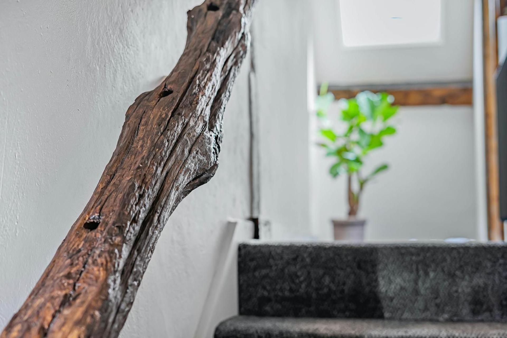 Quirky Retreats - Chester Rose