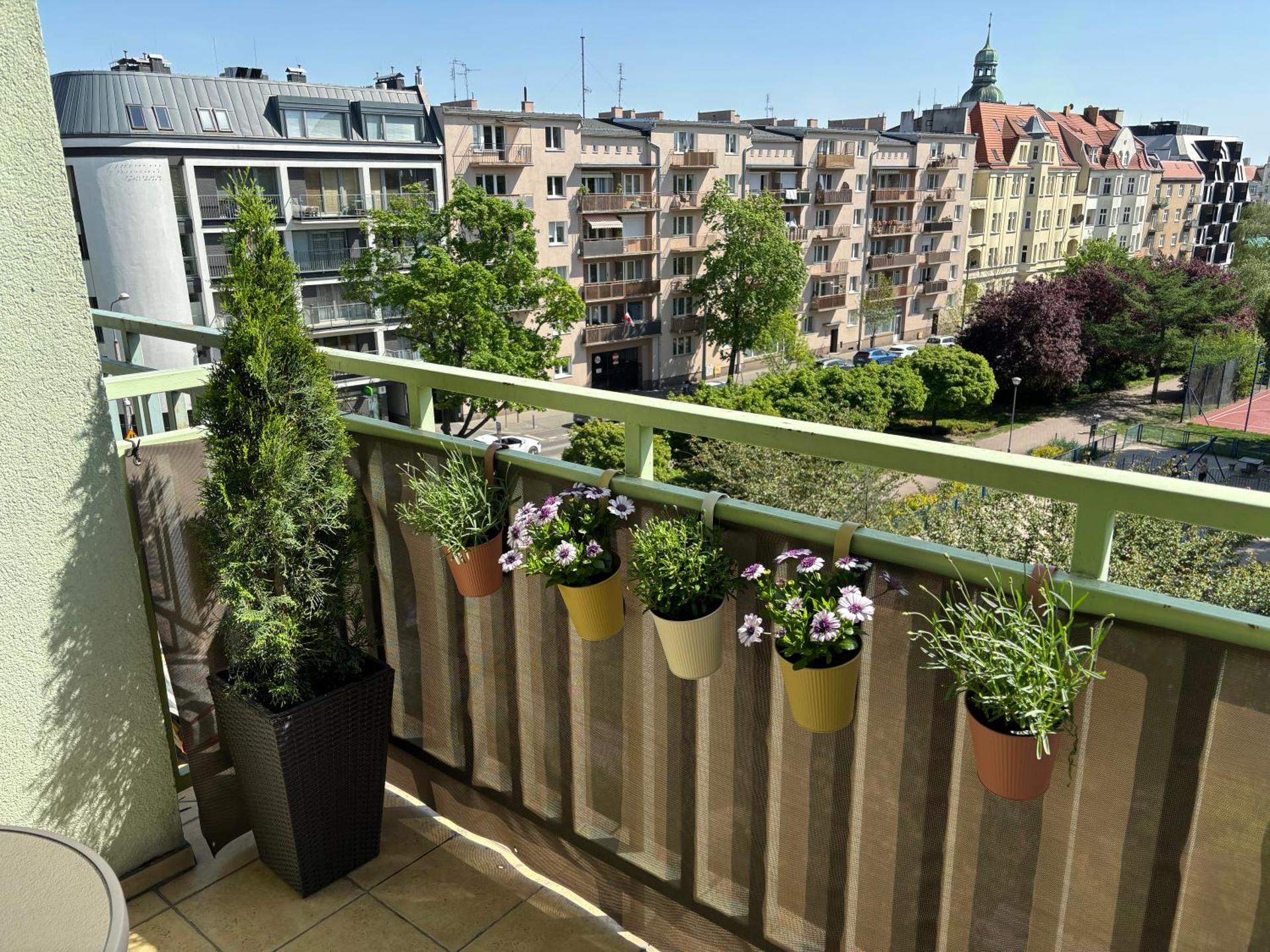 Apartament WILDA