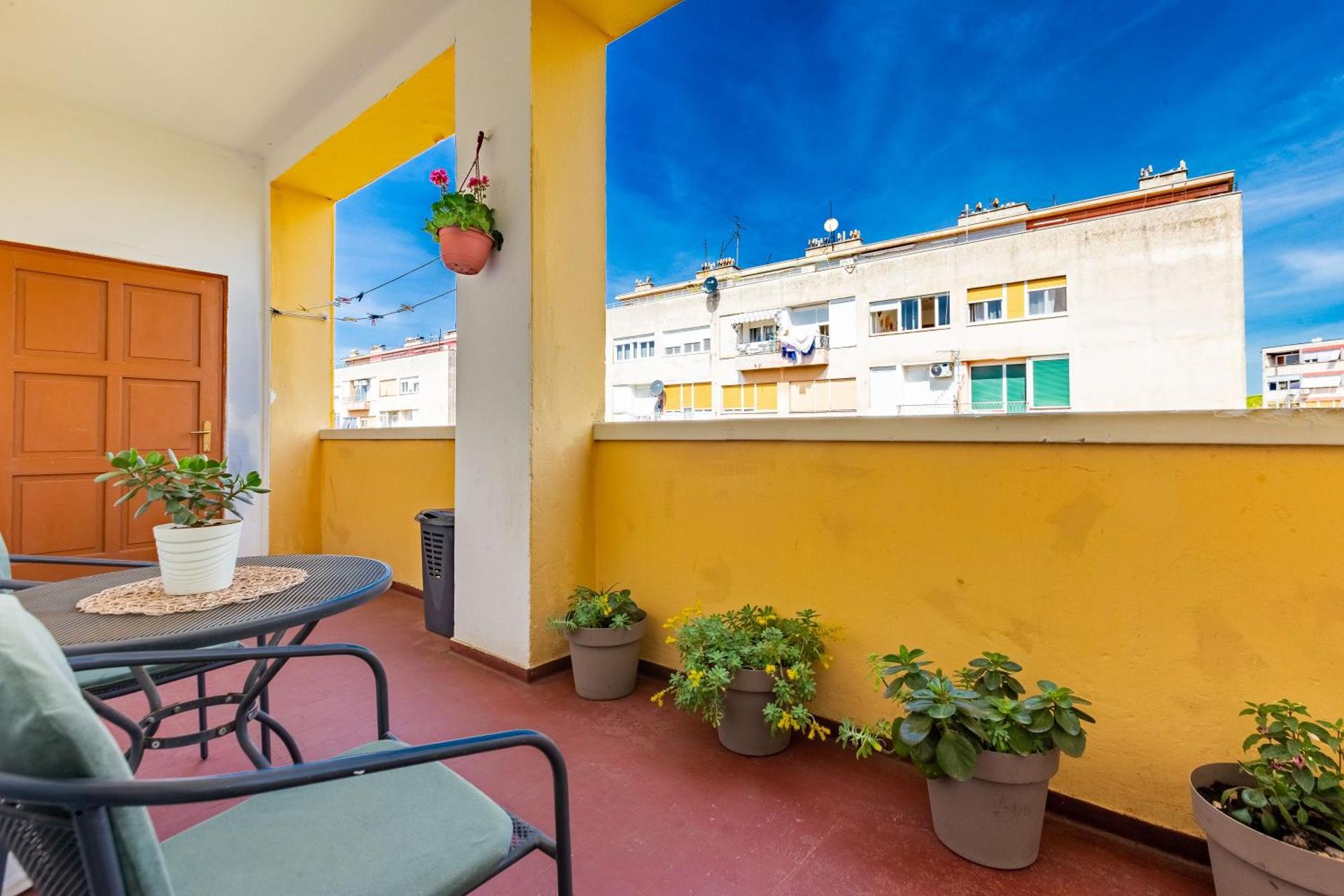 Petra Populare apartment