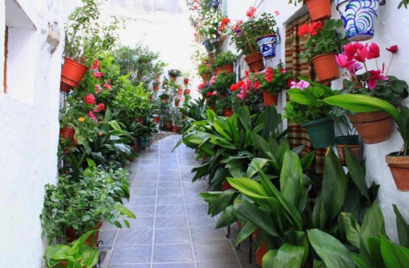 Apartamento Kariba Antigua Casa Anita