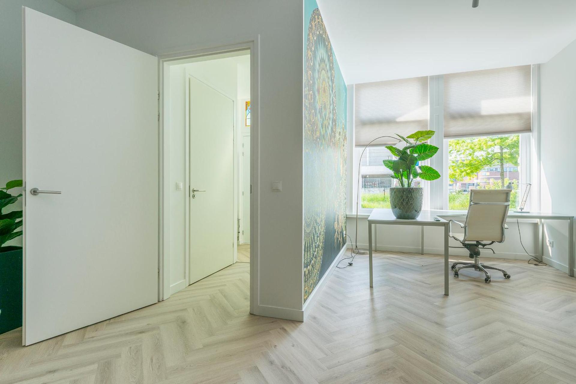 Home city hotspot, near city center and park