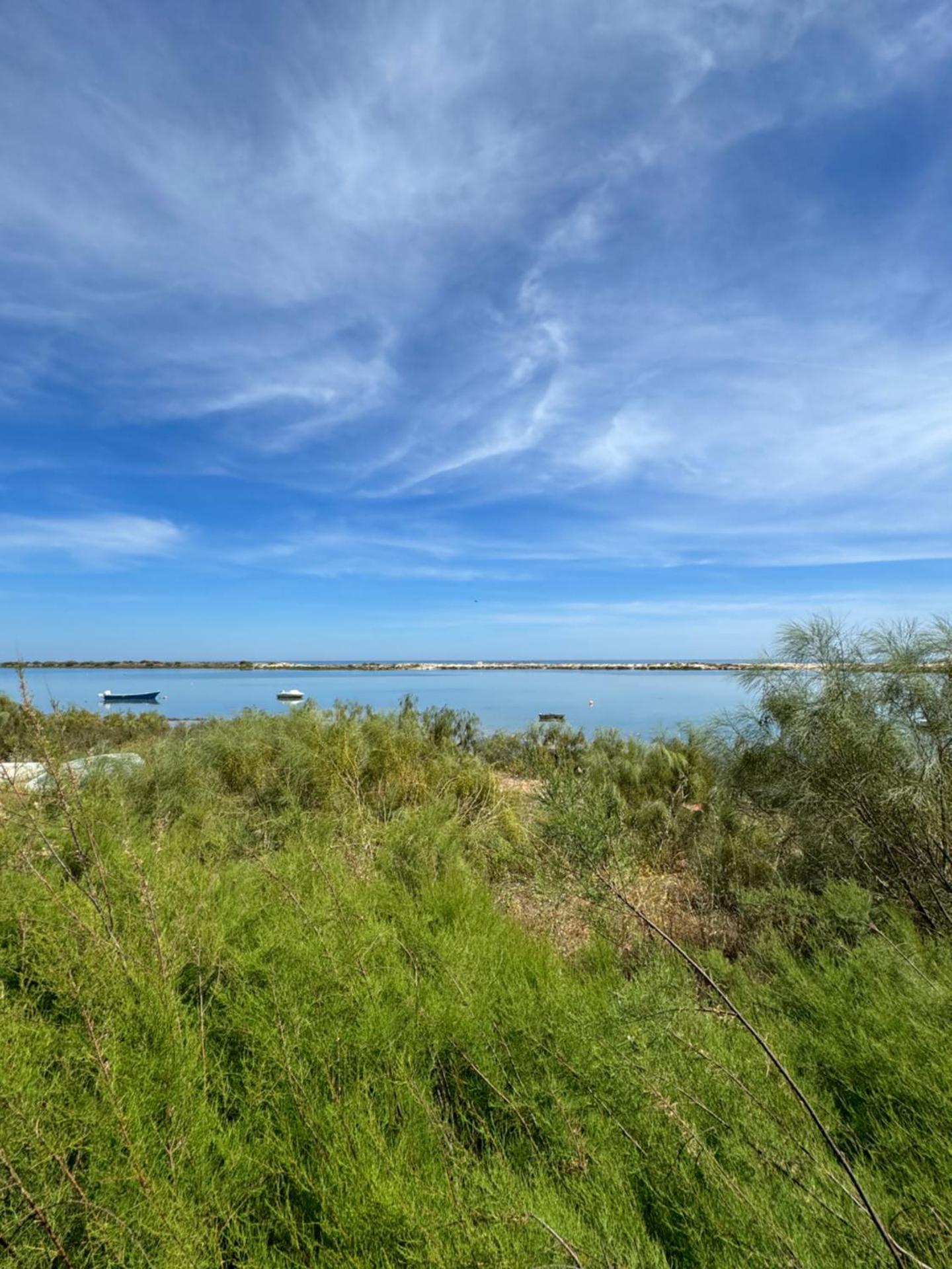 The Beach House Roof