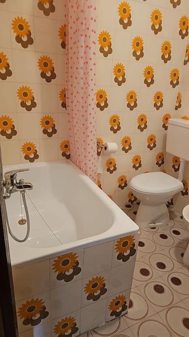 La casa di, Sara Morgex