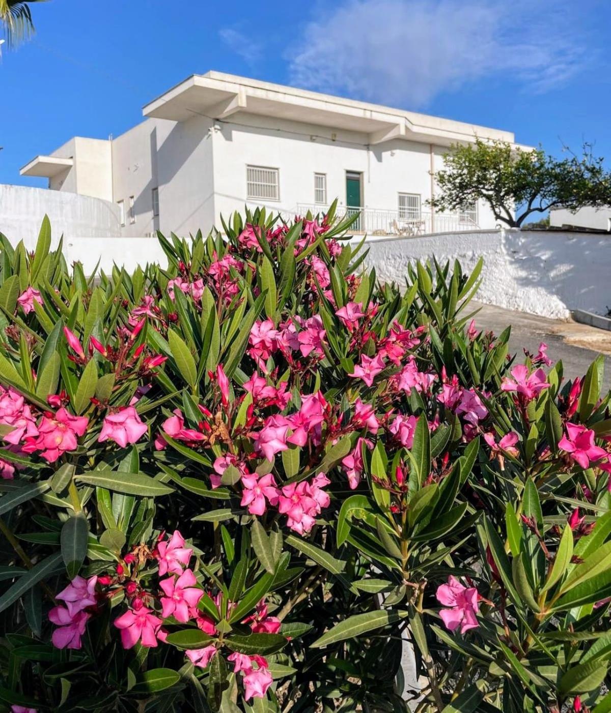 Loredana Affittacamere