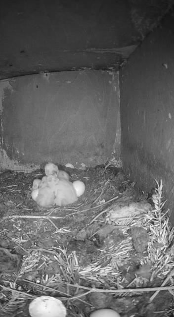 The Udderhouse - Udderly Unforgettable Retreat