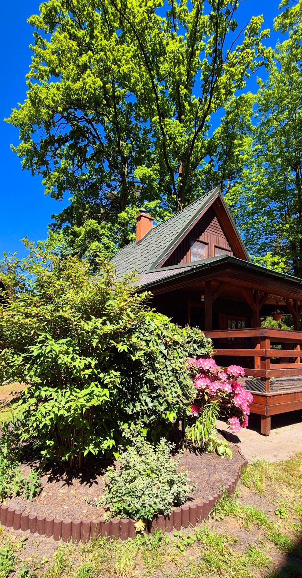 Domek na żołędziowej