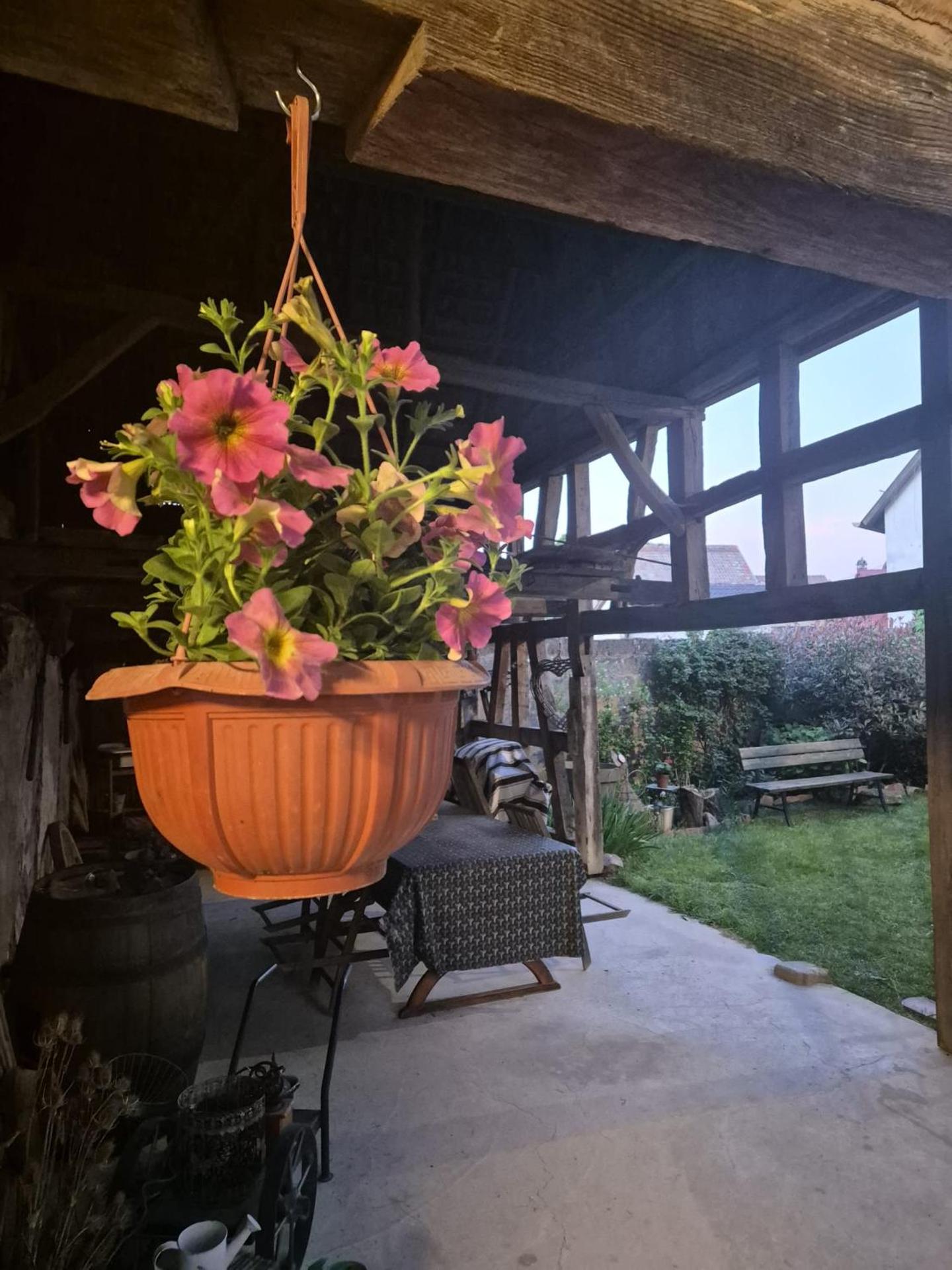 Garden view