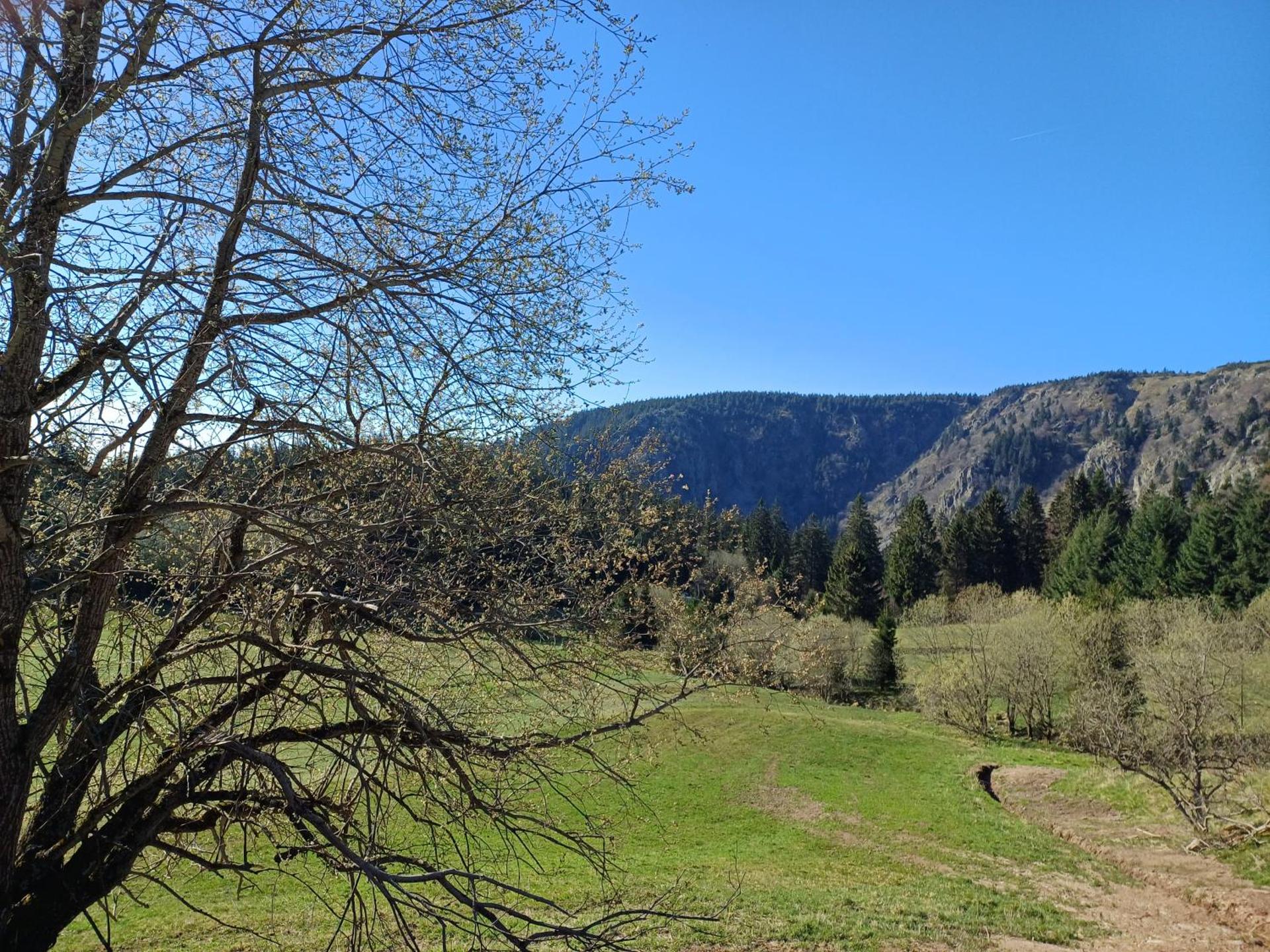 Agréable 3 pièces au Lac Blanc