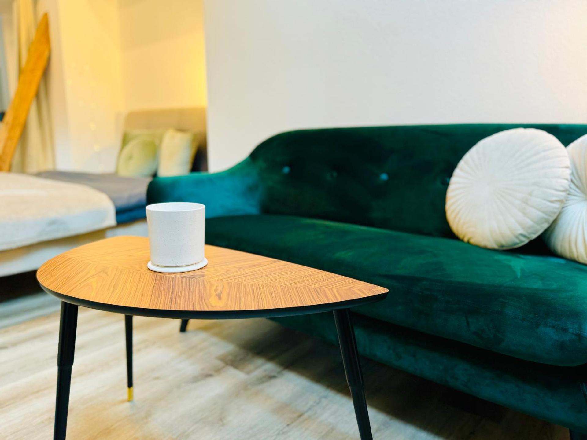 Bellevue & Classy Mountain View apartment