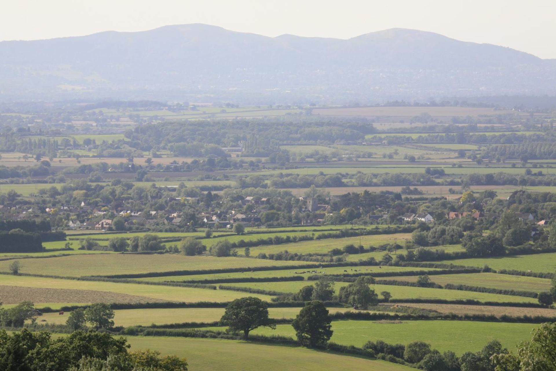 View (from property/room)