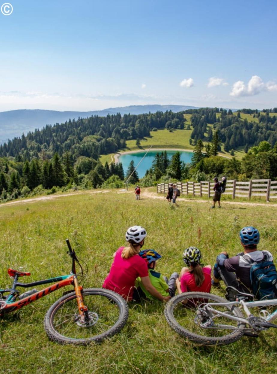 Le chamois mont d'or