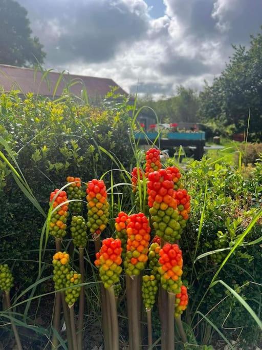 Mill View Cottage at Pheasant Lane
