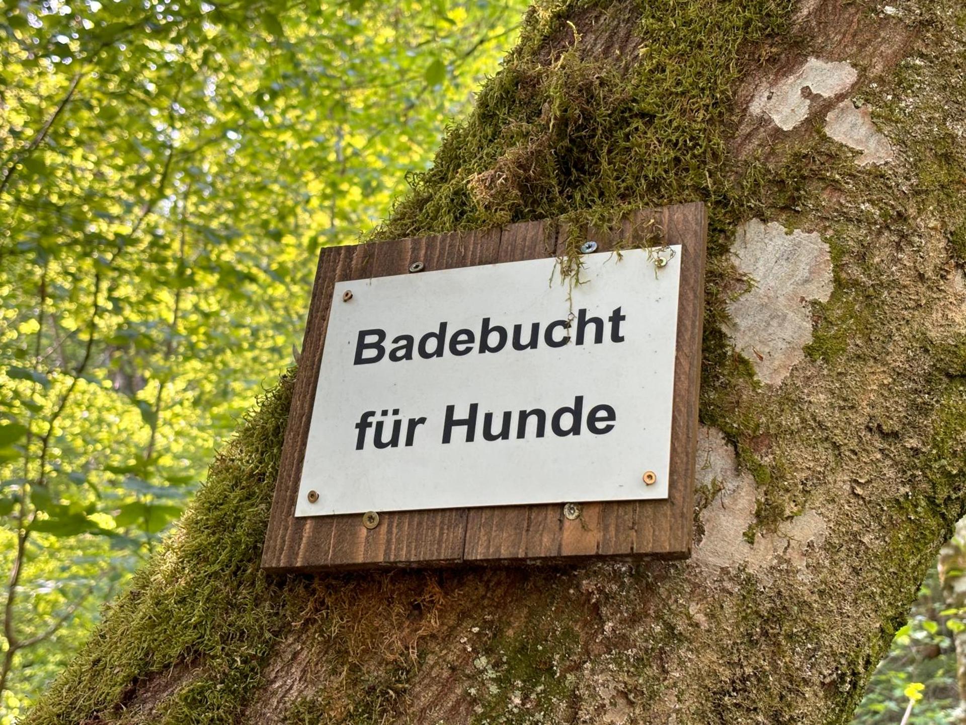 Plätzchen am Krebsberg für alle Fä(e)lle