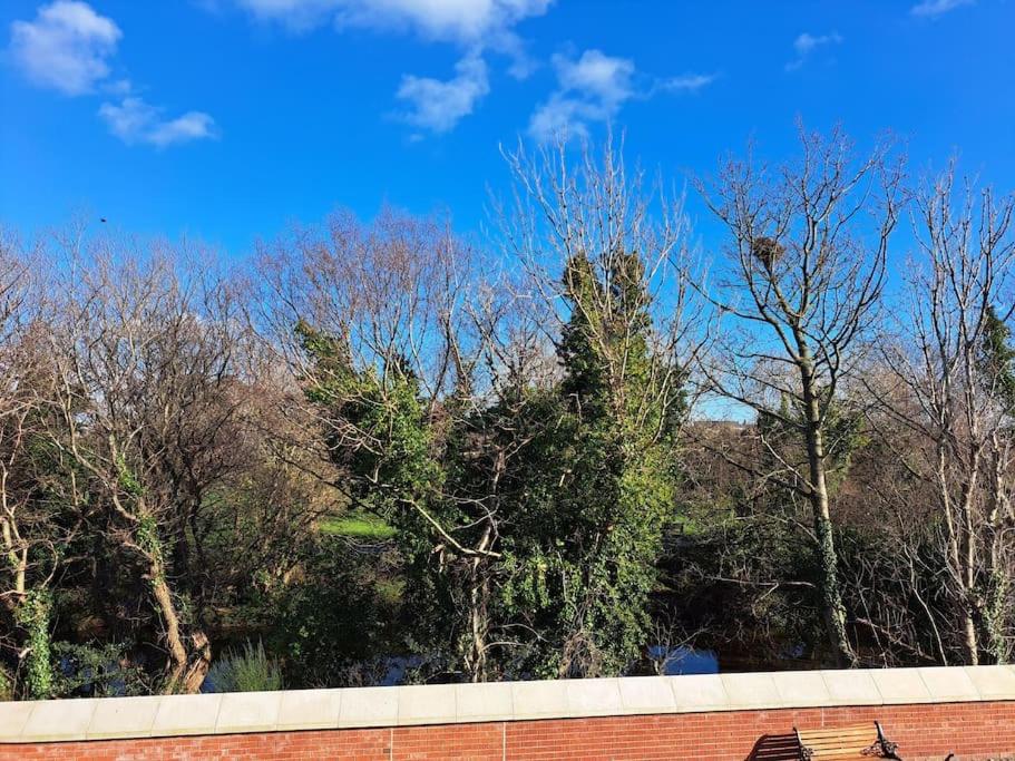 Donard View, Newcastle