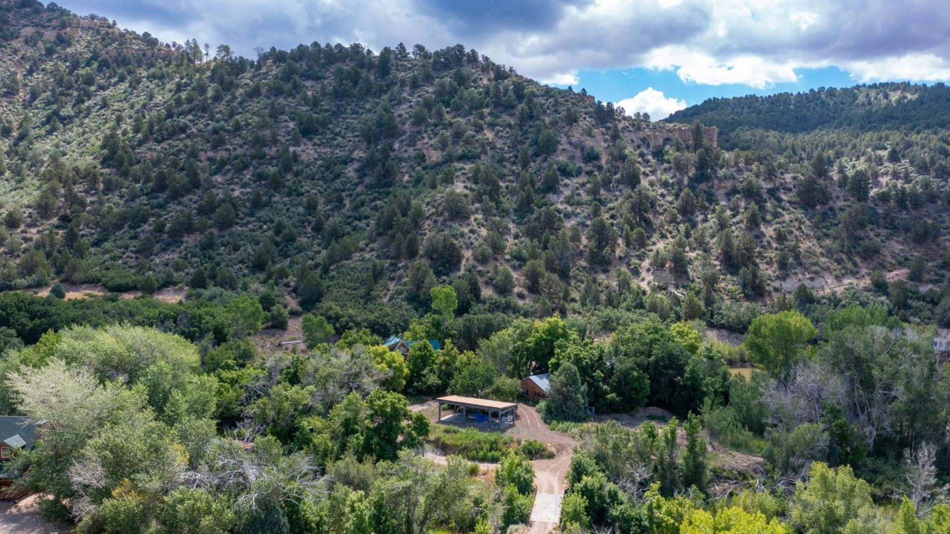 The Blue Jay at Zen Zion