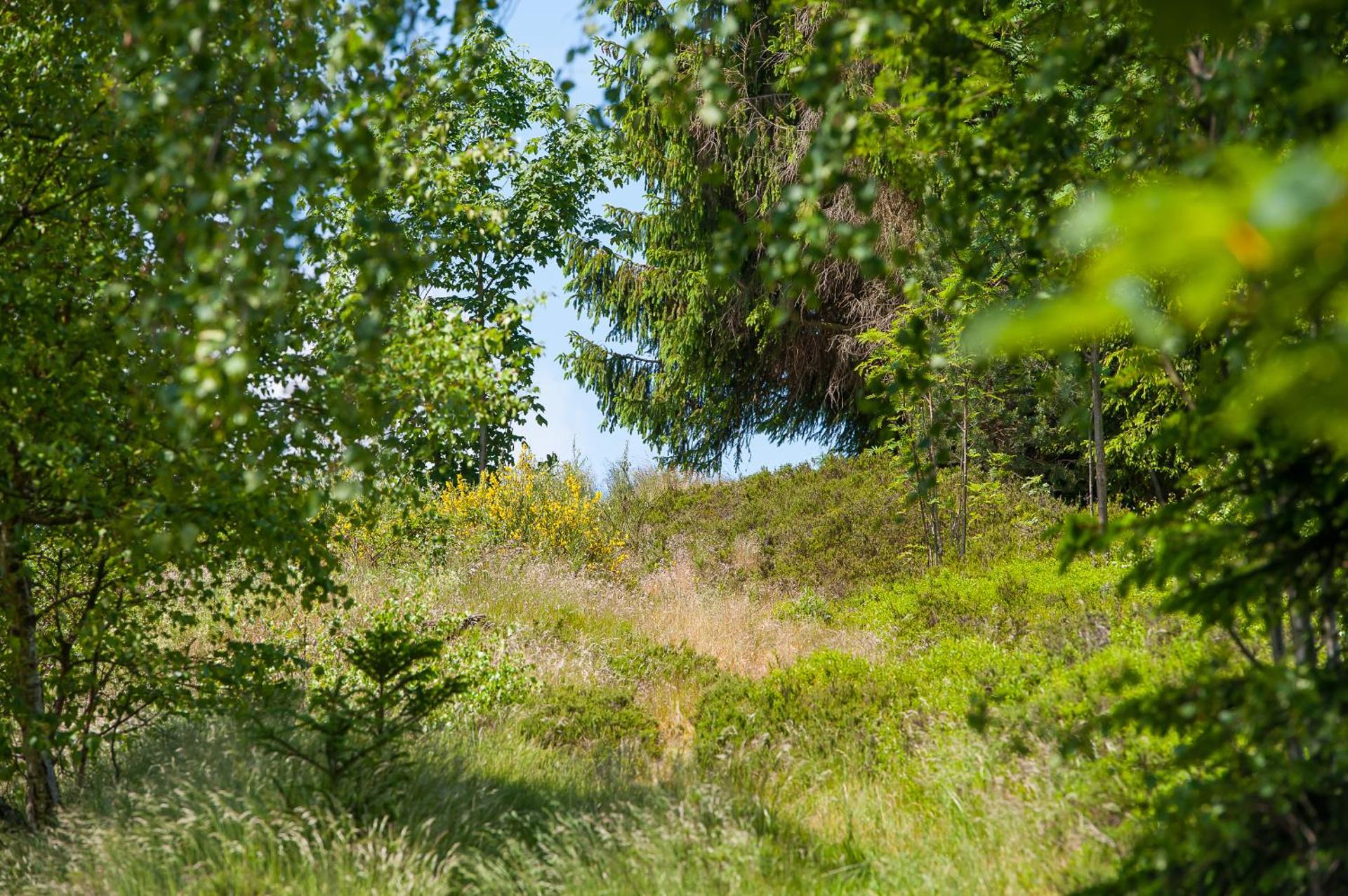 Gasthaus Stollmühle