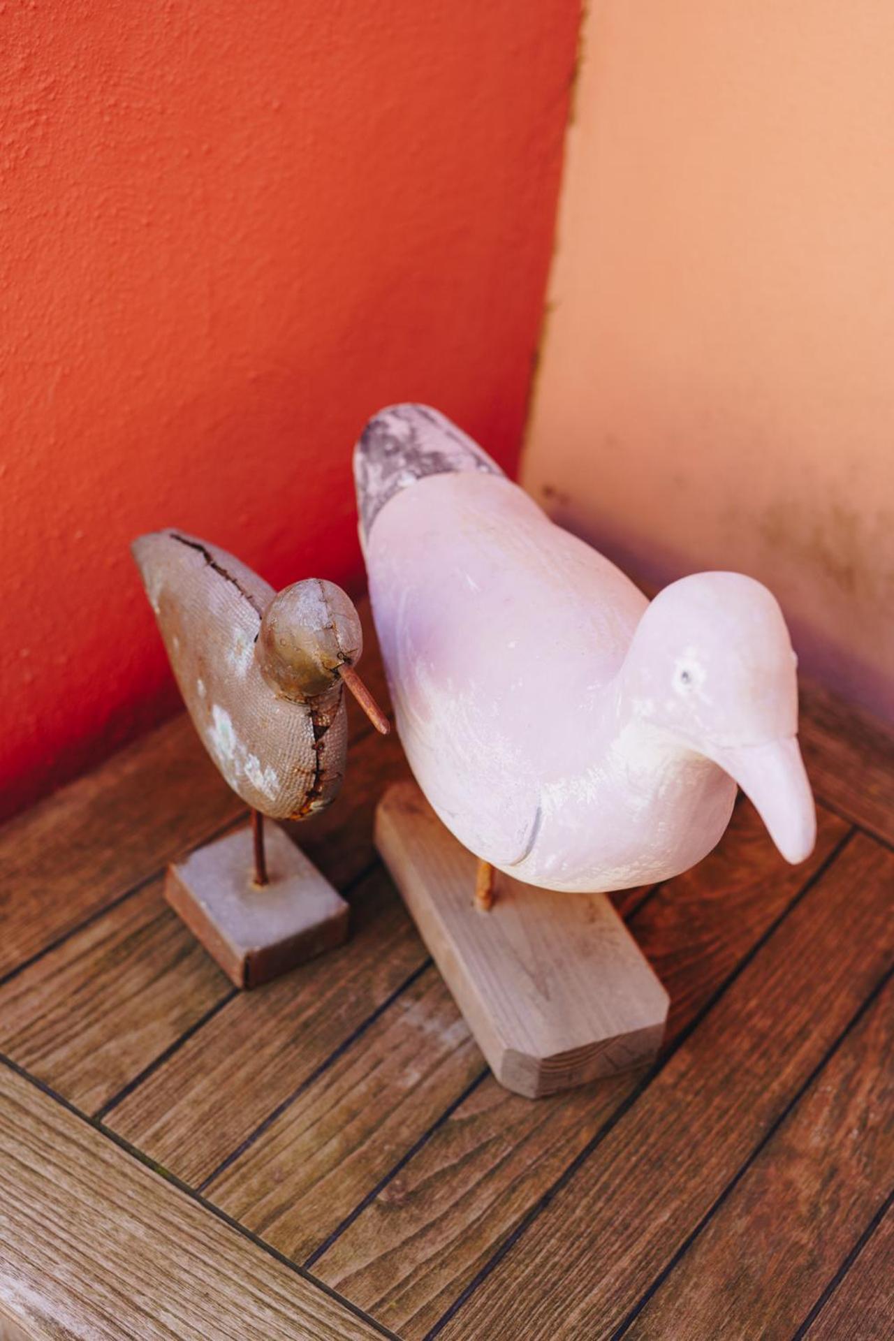 Terrazza Capellini 47