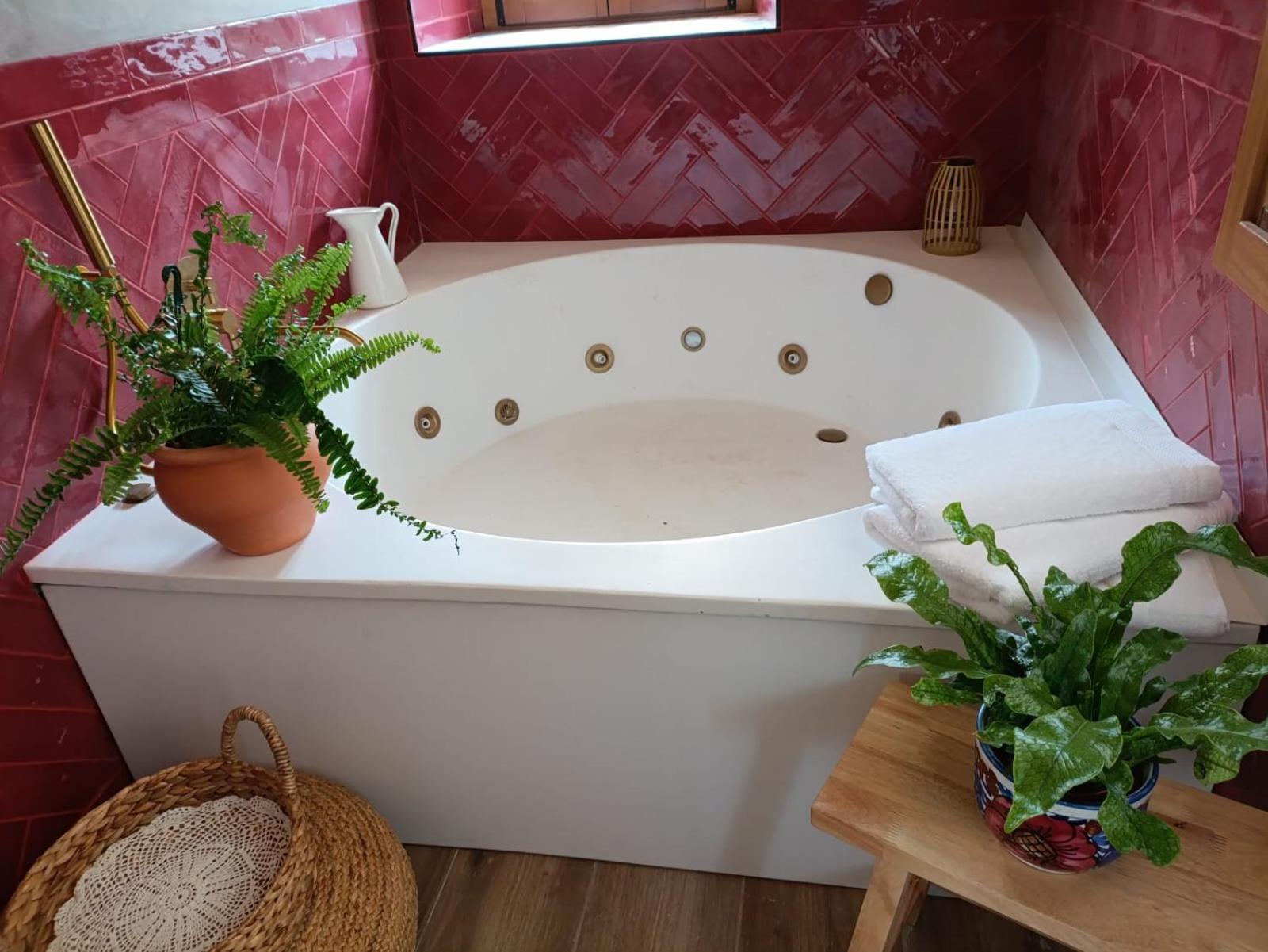 Belaustegi turismo rural