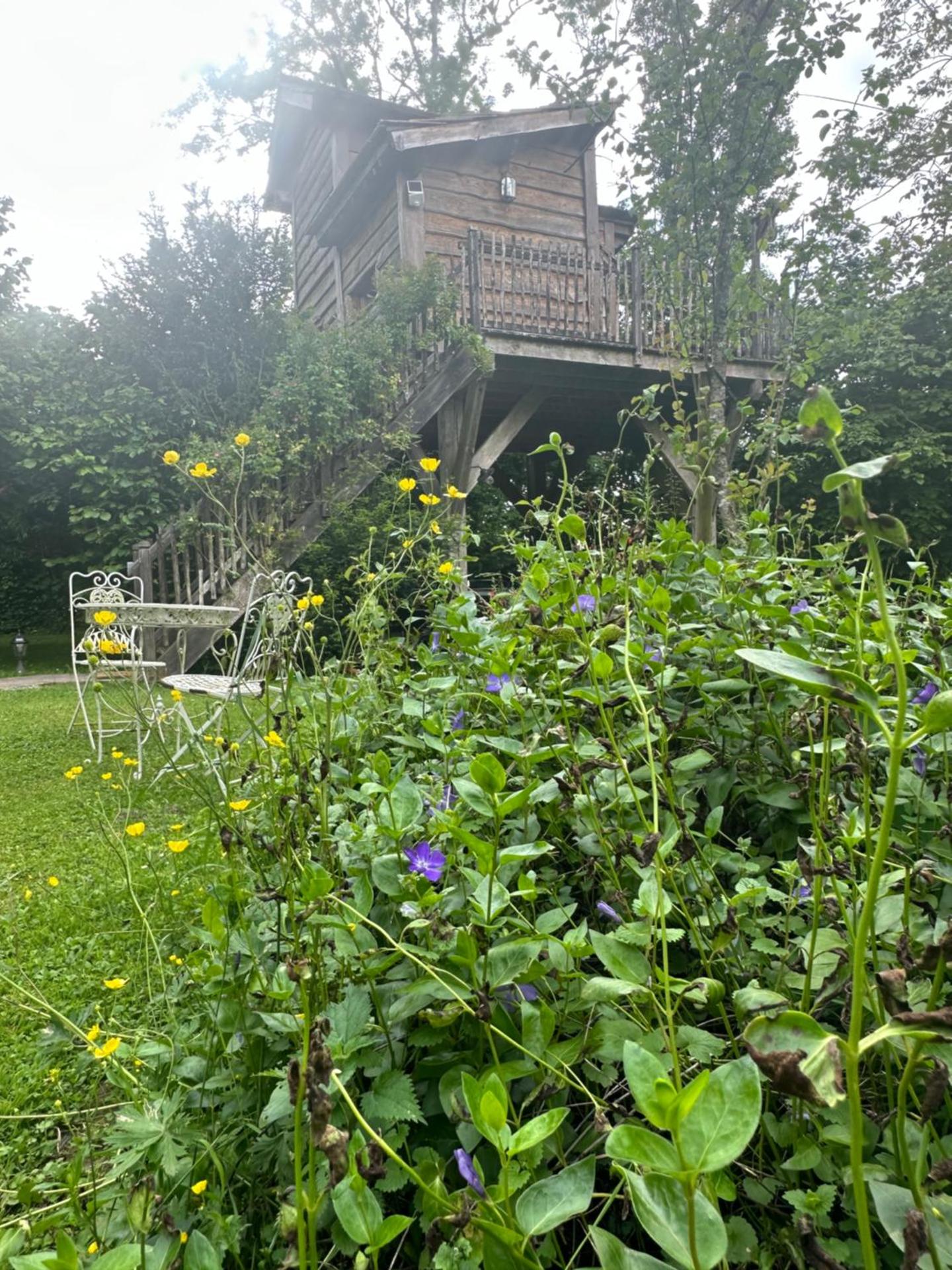 Chambres d'Hôtes de la Vallée Javot