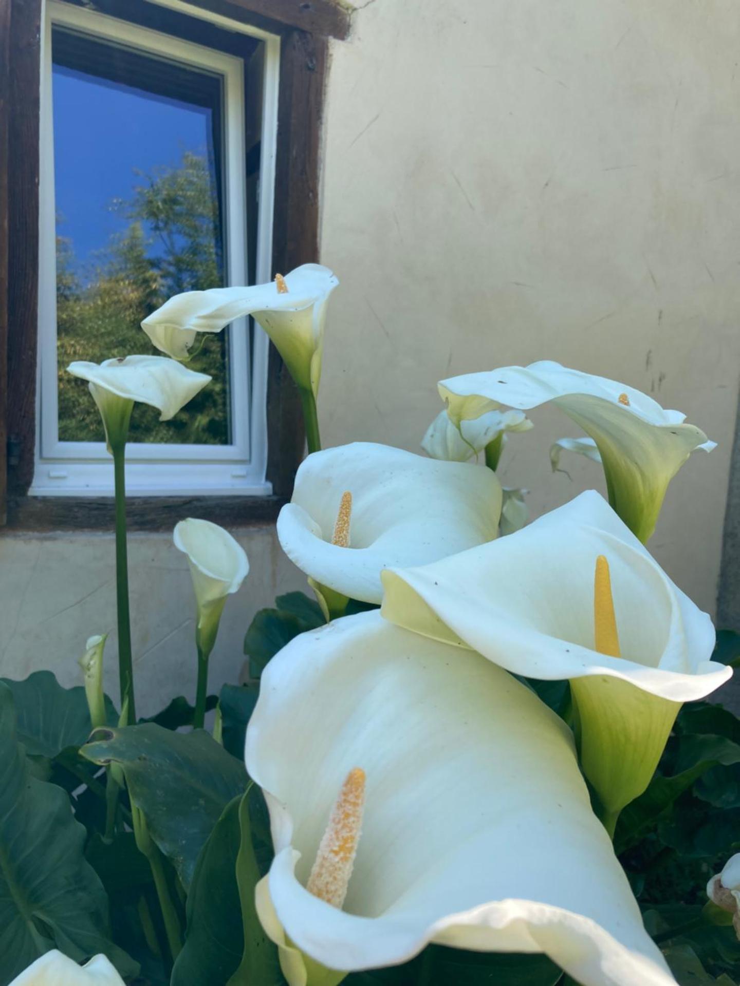 B&B - Chambres d'Hôtes Acoucoula