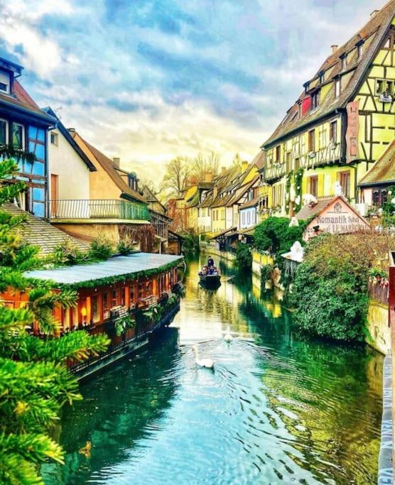 Le cocon de Jeannette