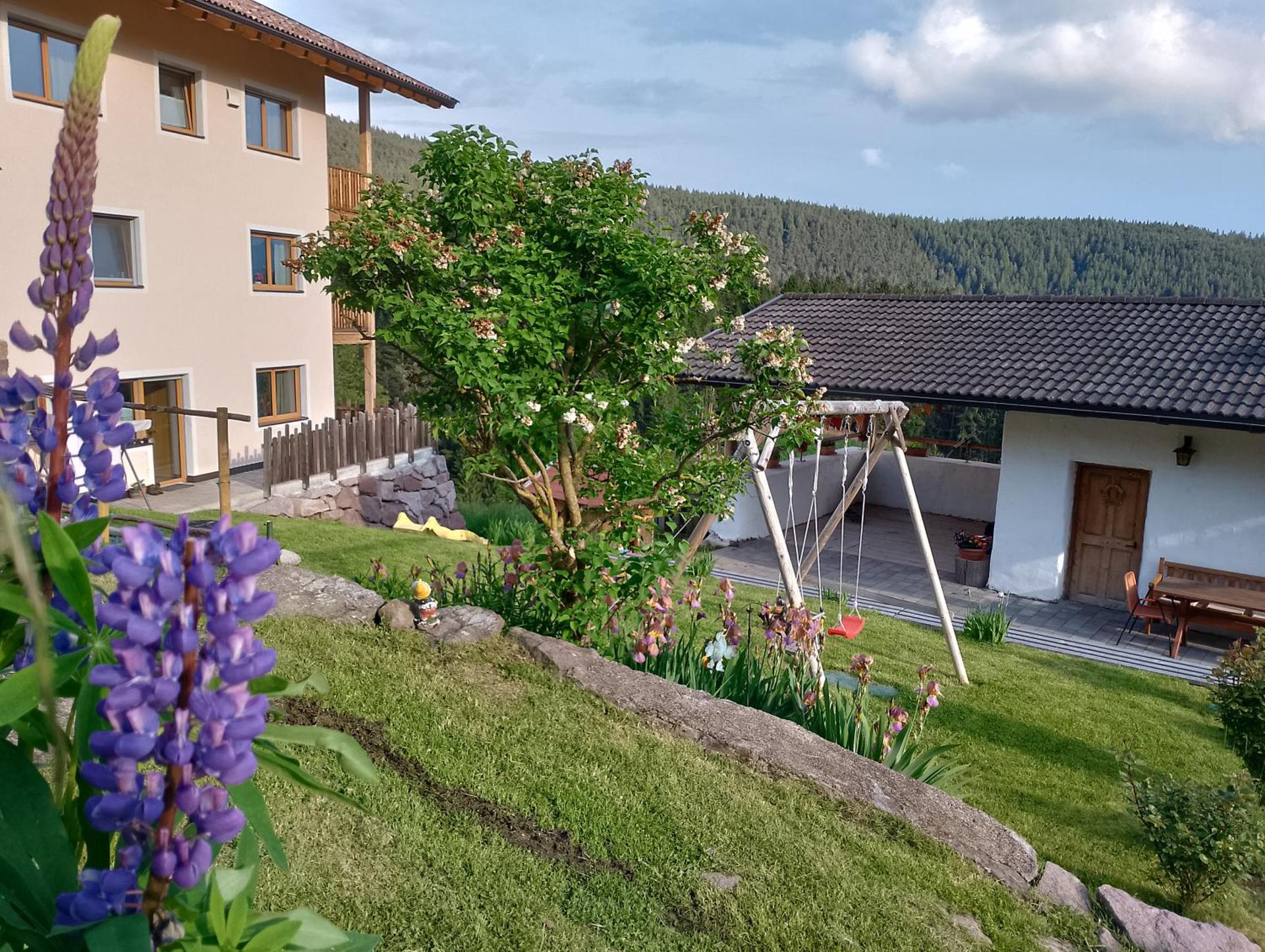 Children play ground