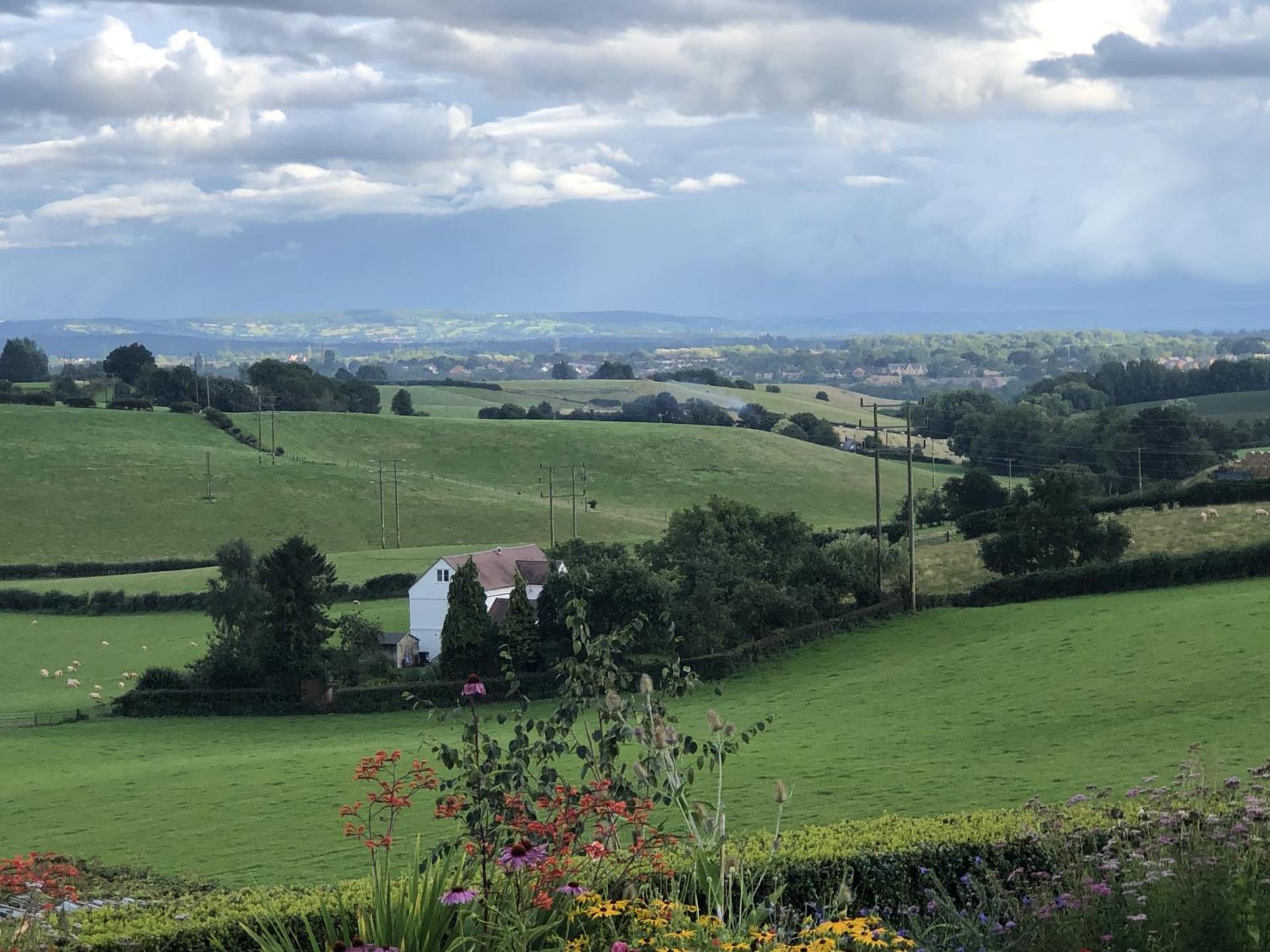 View (from property/room)