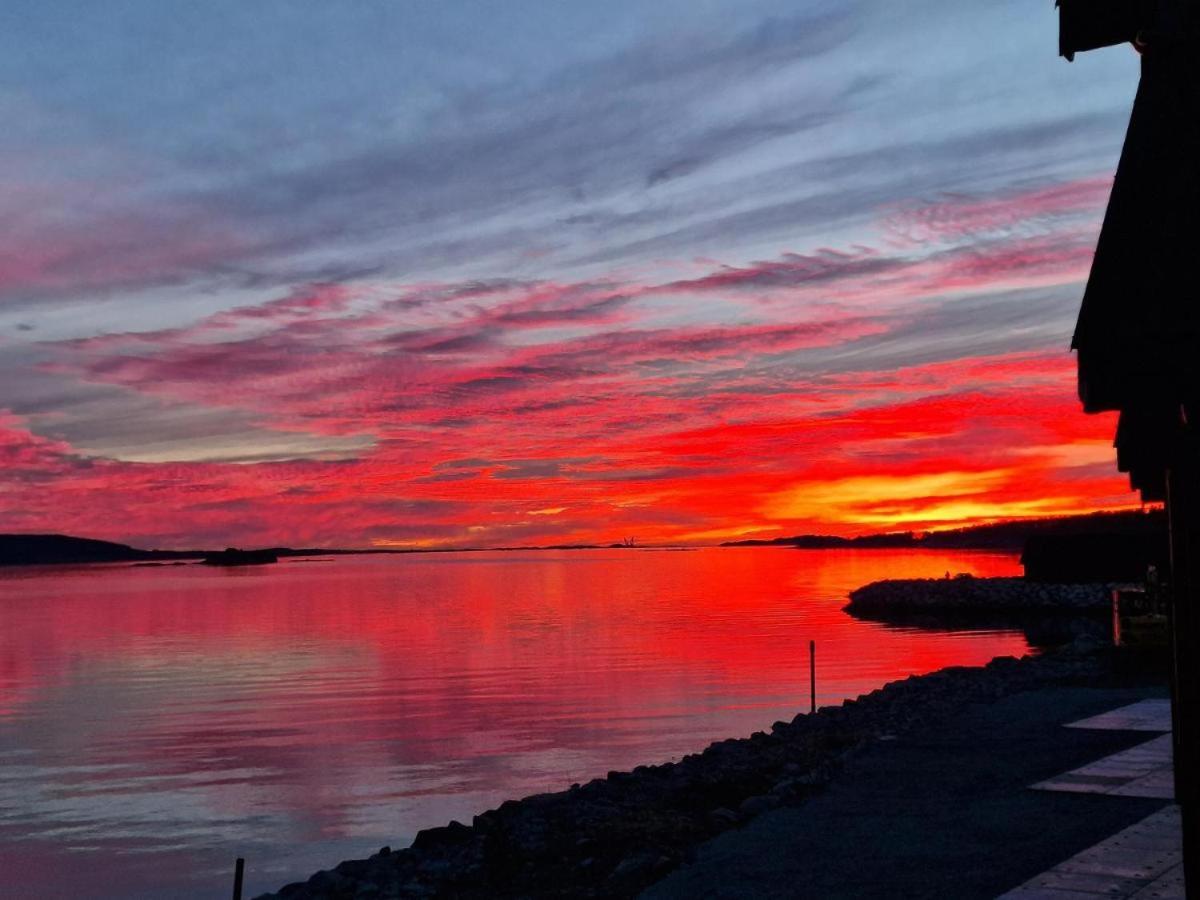 Preikestolen Panorama - Seaside Apartments