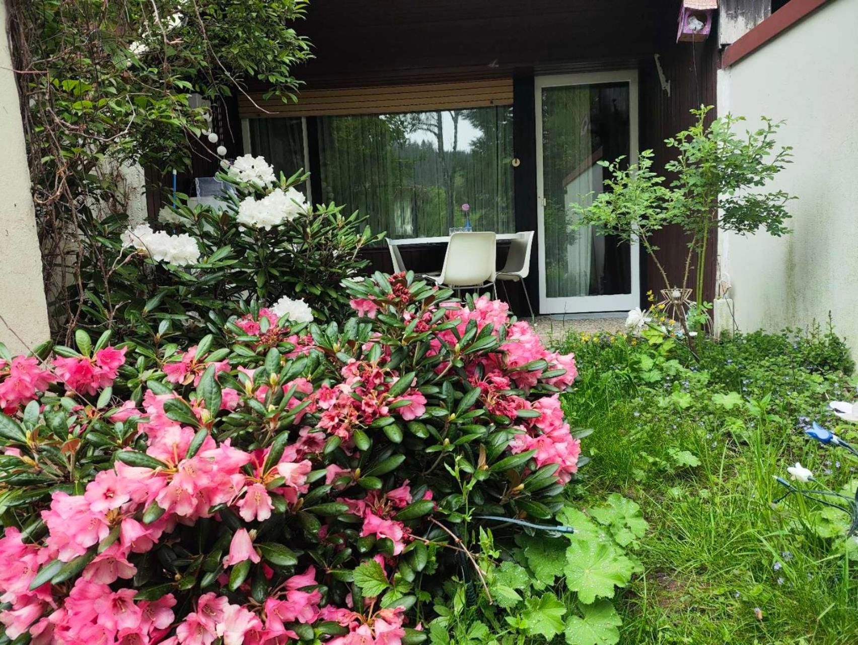 Ferienwohnung Schöne Wohnung 2d-Gebäude mit Mini-garten