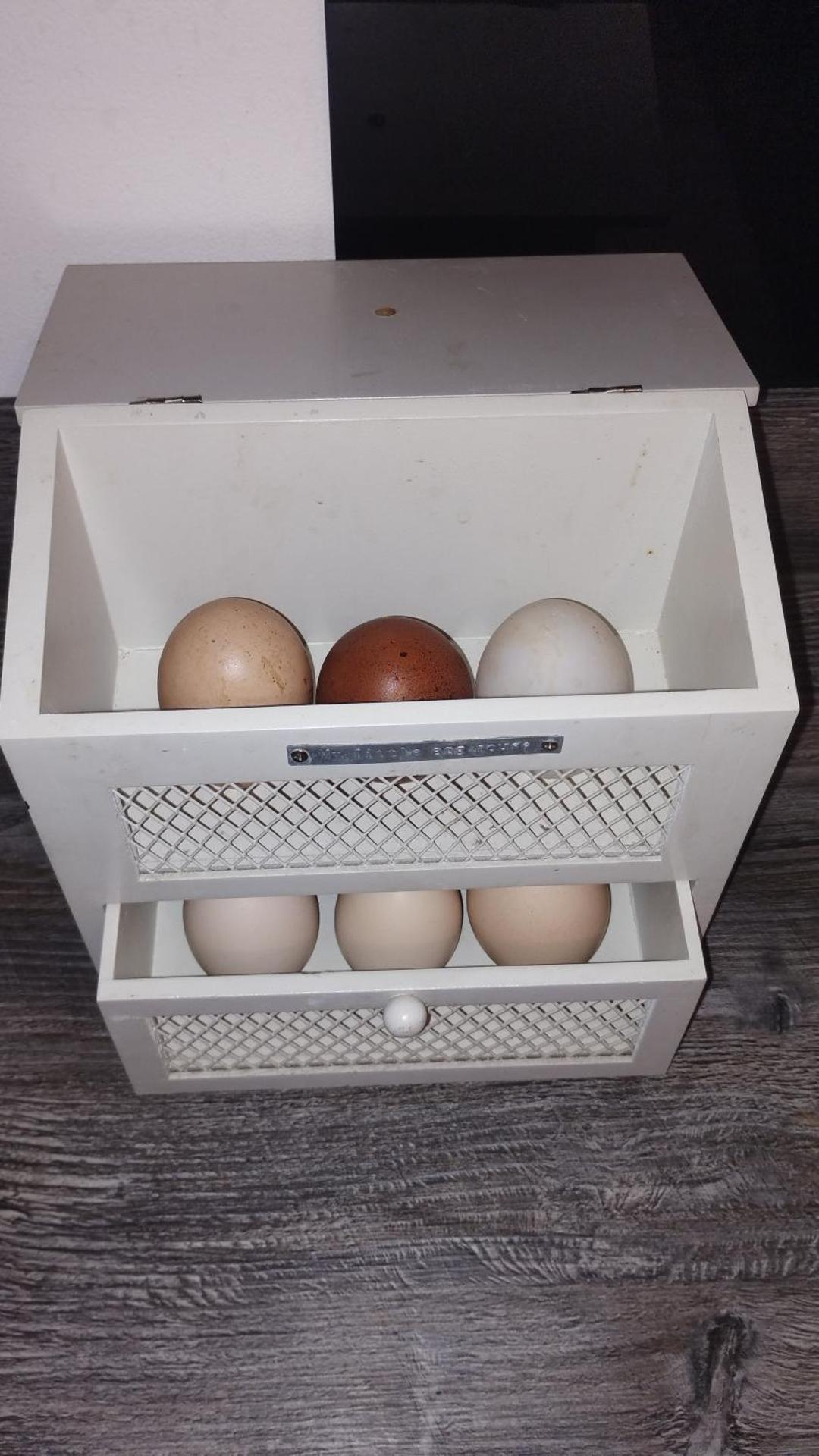 The Willow (Alton Towers, Animals, Peak District)