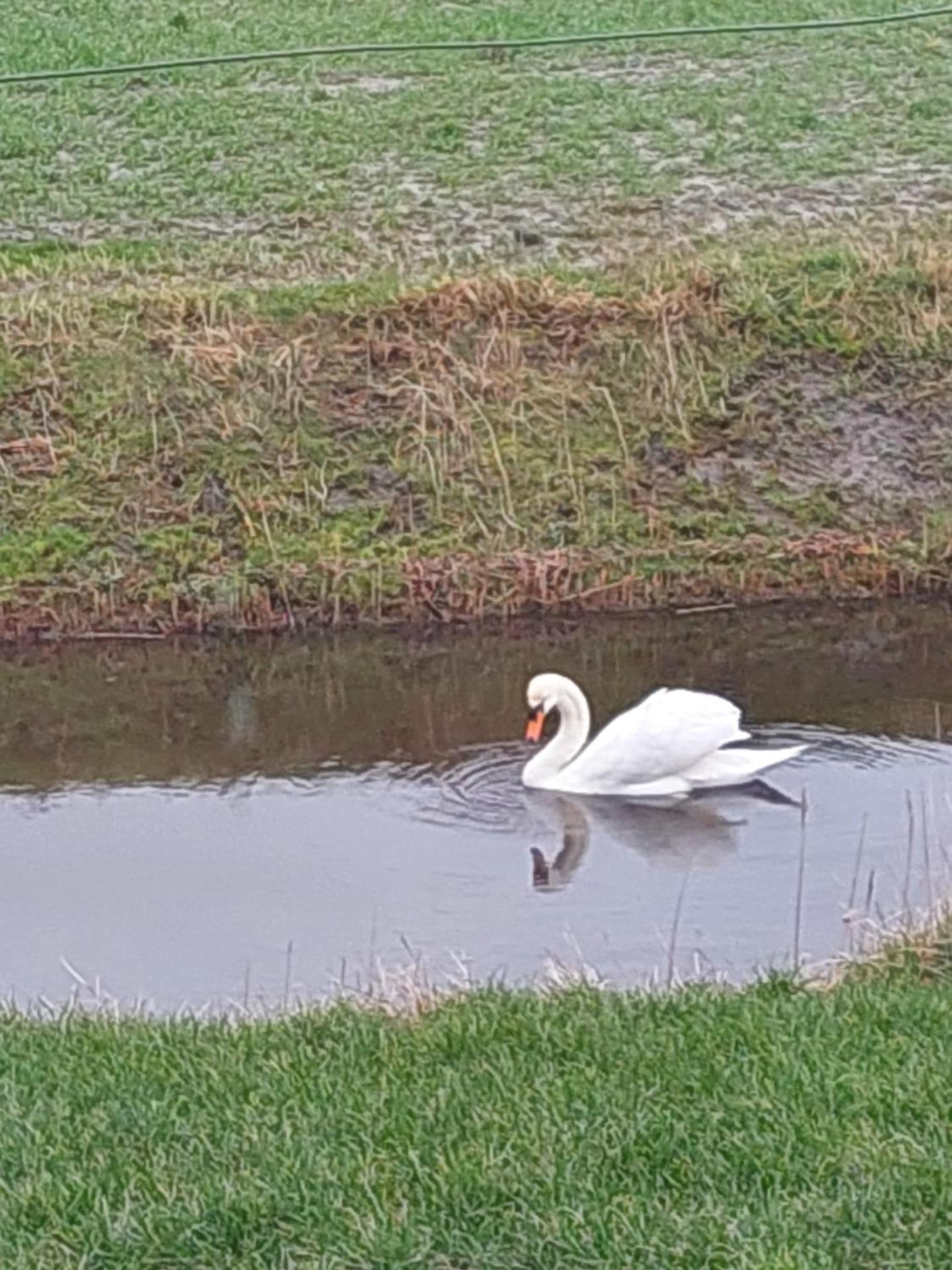 Rusthoeve Garsthuizen