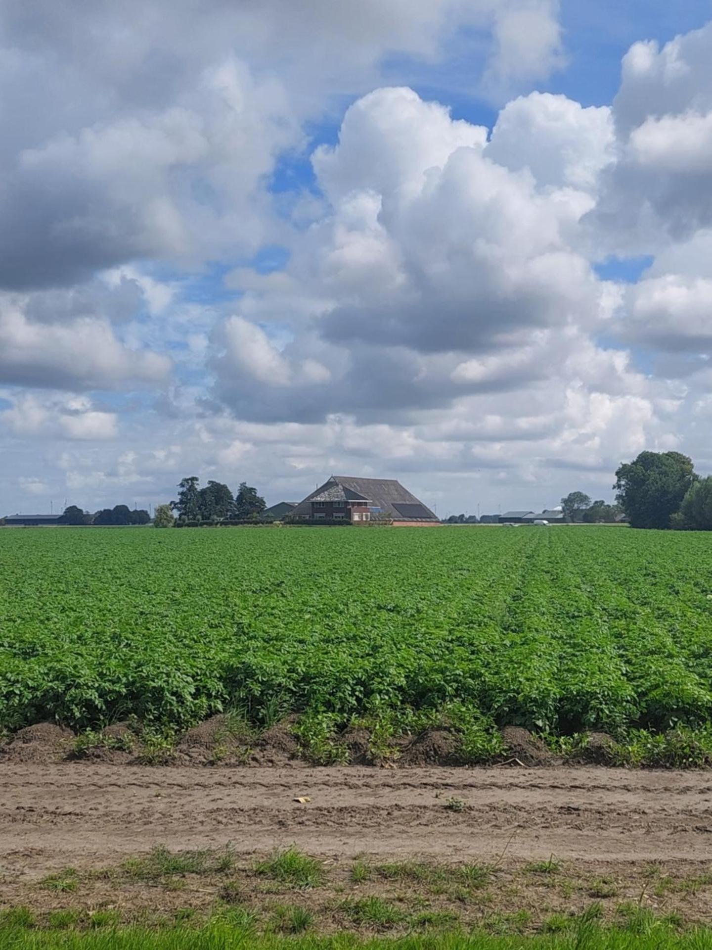 Rusthoeve Garsthuizen